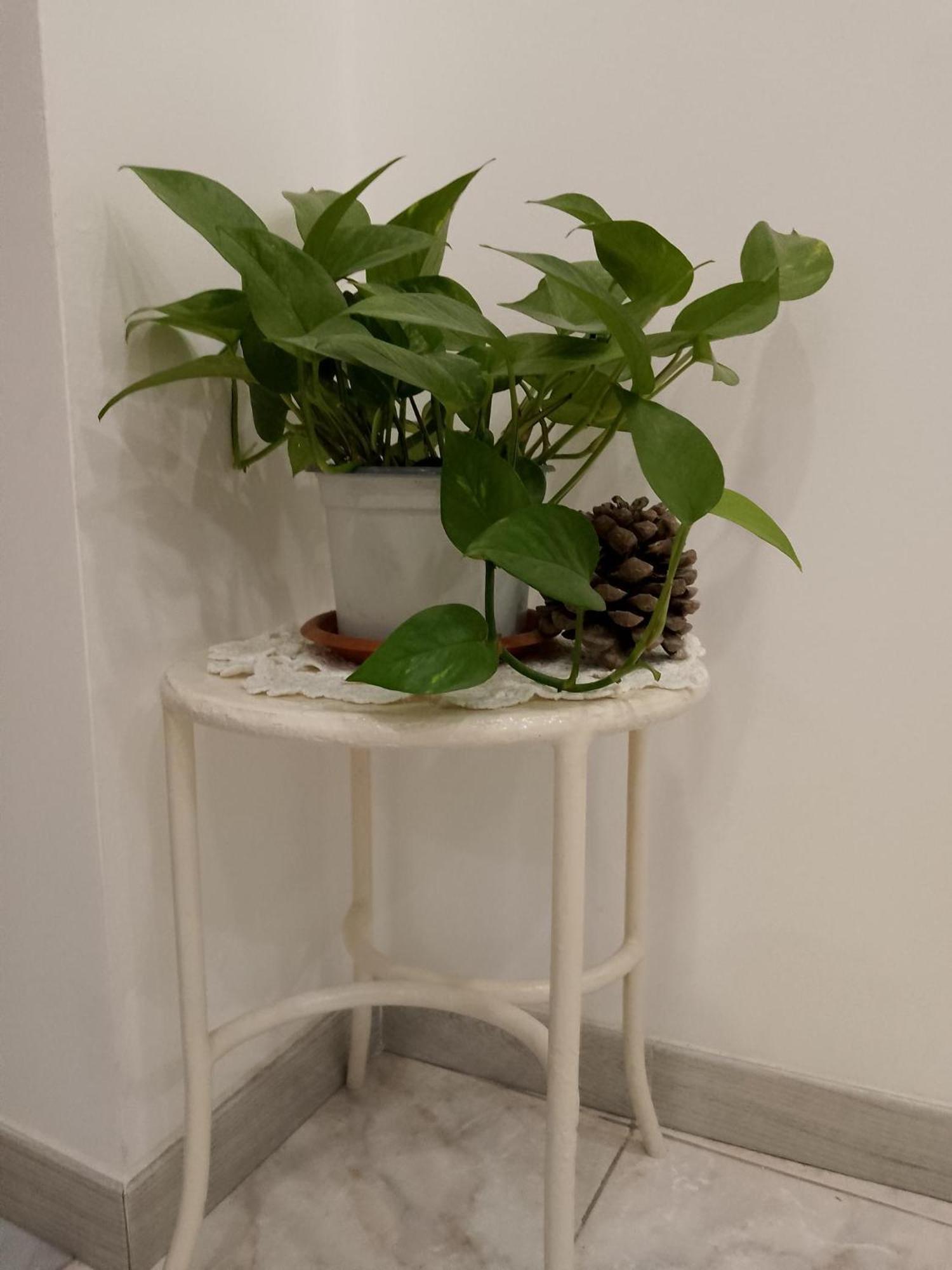 Le Casette Di Nonna Rosa In Fontanarossa Catania Airport Zewnętrze zdjęcie